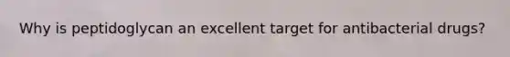 Why is peptidoglycan an excellent target for antibacterial drugs?