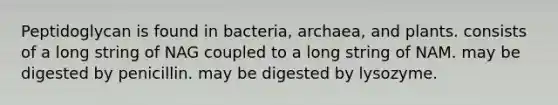 Peptidoglycan is found in bacteria, archaea, and plants. consists of a long string of NAG coupled to a long string of NAM. may be digested by penicillin. may be digested by lysozyme.