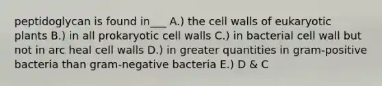 peptidoglycan is found in___ A.) the cell walls of eukaryotic plants B.) in all prokaryotic cell walls C.) in bacterial cell wall but not in arc heal cell walls D.) in greater quantities in gram-positive bacteria than gram-negative bacteria E.) D & C