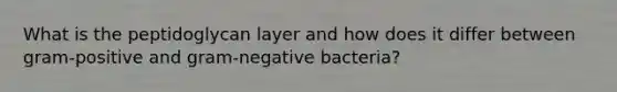 What is the peptidoglycan layer and how does it differ between gram-positive and gram-negative bacteria?