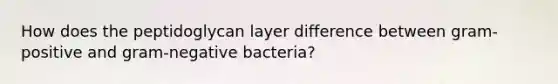 How does the peptidoglycan layer difference between gram-positive and gram-negative bacteria?