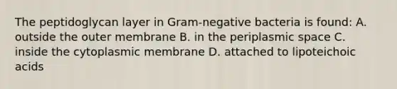 The peptidoglycan layer in Gram-negative bacteria is found: A. outside the outer membrane B. in the periplasmic space C. inside the cytoplasmic membrane D. attached to lipoteichoic acids