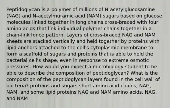 Peptidoglycan is a polymer of millions of N-acetylglucosamine (NAG) and N-acetylmuramic acid (NAM) sugars based on glucose molecules linked together in long chains cross-braced with four amino acids that link individual polymer chains together in a chain-link fence pattern. Layers of cross-braced NAG and NAM sheets are stacked vertically and held together by proteins with lipid anchors attached to the cell's cytoplasmic membrane to form a scaffold of sugars and proteins that is able to hold the bacterial cell's shape, even in response to extreme osmotic pressures. How would you expect a microbiology student to be able to describe the composition of peptidoglycan? What is the composition of the peptidoglycan layers found in the cell wall of bacteria? proteins and sugars short amino acid chains, NAG, NAM, and some lipid proteins NAG and NAM amino acids, NAG, and NAM