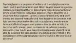 Peptidoglycan is a polymer of millions of N-acetylglucosamine (NAG) and N-acetylmuramic acid (NAM) sugars based on glucose molecules linked together in long chains cross-braced with four amino acids that link individual polymer chains together in a chain-link fence pattern. Layers of cross-braced NAG and NAM sheets are stacked vertically and held together by proteins with lipid anchors attached to the cell's cytoplasmic membrane to form a scaffold of sugars and proteins that is able to hold the bacterial cell's shape, even in response to extreme osmotic pressures. How would you expect a microbiology student to be able to describe the composition of peptidoglycan? What is the composition of the peptidoglycan layers found in the cell wall of bacteria?