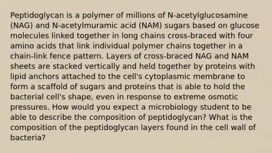 Peptidoglycan is a polymer of millions of N-acetylglucosamine (NAG) and N-acetylmuramic acid (NAM) sugars based on glucose molecules linked together in long chains cross-braced with four amino acids that link individual polymer chains together in a chain-link fence pattern. Layers of cross-braced NAG and NAM sheets are stacked vertically and held together by proteins with lipid anchors attached to the cell's cytoplasmic membrane to form a scaffold of sugars and proteins that is able to hold the bacterial cell's shape, even in response to extreme osmotic pressures. How would you expect a microbiology student to be able to describe the composition of peptidoglycan? What is the composition of the peptidoglycan layers found in the cell wall of bacteria?