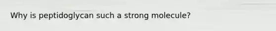 Why is peptidoglycan such a strong molecule?