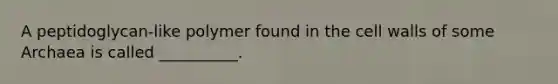 A peptidoglycan-like polymer found in the cell walls of some Archaea is called __________.