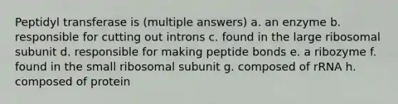 Peptidyl transferase is (multiple answers) a. an enzyme b. responsible for cutting out introns c. found in the large ribosomal subunit d. responsible for making peptide bonds e. a ribozyme f. found in the small ribosomal subunit g. composed of rRNA h. composed of protein