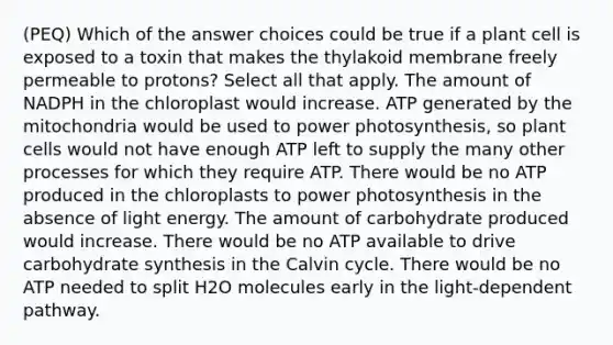 (PEQ) Which of the answer choices could be true if a plant cell is exposed to a toxin that makes the thylakoid membrane freely permeable to protons? Select all that apply. The amount of NADPH in the chloroplast would increase. ATP generated by the mitochondria would be used to power photosynthesis, so plant cells would not have enough ATP left to supply the many other processes for which they require ATP. There would be no ATP produced in the chloroplasts to power photosynthesis in the absence of light energy. The amount of carbohydrate produced would increase. There would be no ATP available to drive carbohydrate synthesis in the Calvin cycle. There would be no ATP needed to split H2O molecules early in the light-dependent pathway.