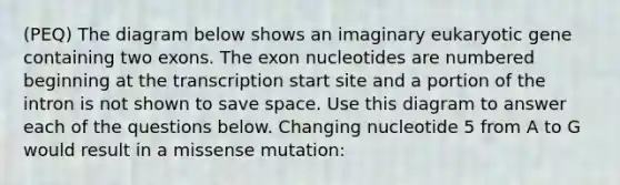 (PEQ) The diagram below shows an imaginary eukaryotic gene containing two exons. The exon nucleotides are numbered beginning at the transcription start site and a portion of the intron is not shown to save space. Use this diagram to answer each of the questions below. Changing nucleotide 5 from A to G would result in a missense mutation: