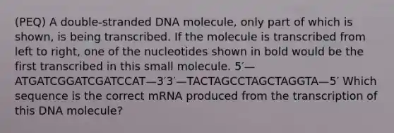 (PEQ) A double-stranded DNA molecule, only part of which is shown, is being transcribed. If the molecule is transcribed from left to right, one of the nucleotides shown in bold would be the first transcribed in this small molecule. 5′—ATGATCGGATCGATCCAT—3′3′—TACTAGCCTAGCTAGGTA—5′ Which sequence is the correct mRNA produced from the transcription of this DNA molecule?