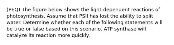 (PEQ) The figure below shows the light-dependent reactions of photosynthesis. Assume that PSII has lost the ability to split water. Determine whether each of the following statements will be true or false based on this scenario. ATP synthase will catalyze its reaction more quickly.