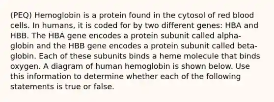 (PEQ) Hemoglobin is a protein found in the cytosol of red blood cells. In humans, it is coded for by two different genes: HBA and HBB. The HBA gene encodes a protein subunit called alpha-globin and the HBB gene encodes a protein subunit called beta-globin. Each of these subunits binds a heme molecule that binds oxygen. A diagram of human hemoglobin is shown below. Use this information to determine whether each of the following statements is true or false.