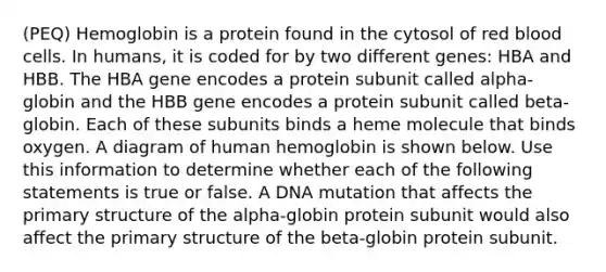 (PEQ) Hemoglobin is a protein found in the cytosol of red blood cells. In humans, it is coded for by two different genes: HBA and HBB. The HBA gene encodes a protein subunit called alpha-globin and the HBB gene encodes a protein subunit called beta-globin. Each of these subunits binds a heme molecule that binds oxygen. A diagram of human hemoglobin is shown below. Use this information to determine whether each of the following statements is true or false. A DNA mutation that affects the primary structure of the alpha-globin protein subunit would also affect the primary structure of the beta-globin protein subunit.