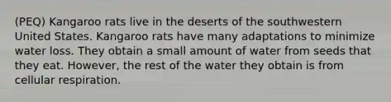 (PEQ) Kangaroo rats live in the deserts of the southwestern United States. Kangaroo rats have many adaptations to minimize water loss. They obtain a small amount of water from seeds that they eat. However, the rest of the water they obtain is from cellular respiration.