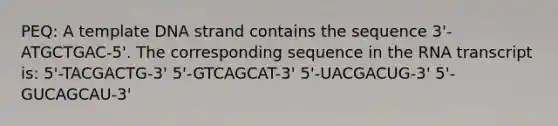 PEQ: A template DNA strand contains the sequence 3'-ATGCTGAC-5'. The corresponding sequence in the RNA transcript is: 5'-TACGACTG-3' 5'-GTCAGCAT-3' 5'-UACGACUG-3' 5'-GUCAGCAU-3'