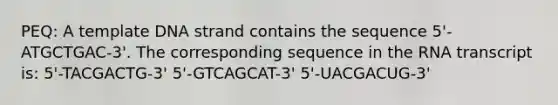 PEQ: A template DNA strand contains the sequence 5'-ATGCTGAC-3'. The corresponding sequence in the RNA transcript is: 5'-TACGACTG-3' 5'-GTCAGCAT-3' 5'-UACGACUG-3'