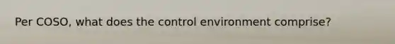 Per COSO, what does the control environment comprise?