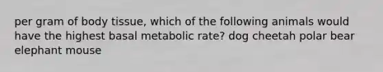 per gram of body tissue, which of the following animals would have the highest basal metabolic rate? dog cheetah polar bear elephant mouse