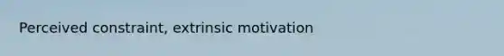 Perceived constraint, extrinsic motivation