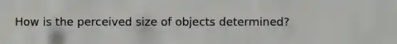 How is the perceived size of objects determined?