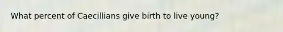 What percent of Caecillians give birth to live young?