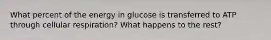 What percent of the energy in glucose is transferred to ATP through cellular respiration? What happens to the rest?