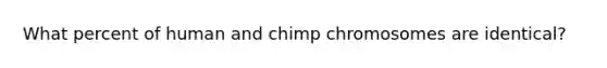 What percent of human and chimp chromosomes are identical?