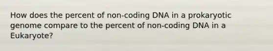 How does the percent of non-coding DNA in a prokaryotic genome compare to the percent of non-coding DNA in a Eukaryote?