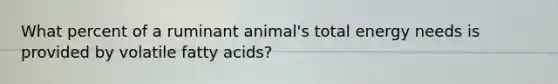 What percent of a ruminant animal's total energy needs is provided by volatile fatty acids?