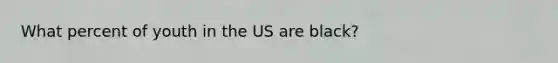 What percent of youth in the US are black?