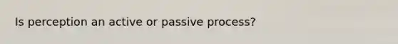 Is perception an active or passive process?