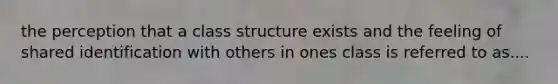 the perception that a class structure exists and the feeling of shared identification with others in ones class is referred to as....