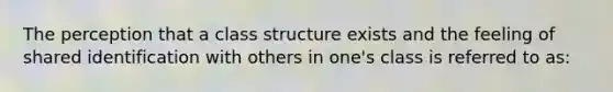 The perception that a class structure exists and the feeling of shared identification with others in one's class is referred to as: