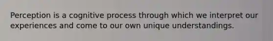 Perception is a cognitive process through which we interpret our experiences and come to our own unique understandings.