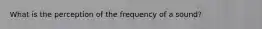 What is the perception of the frequency of a sound?