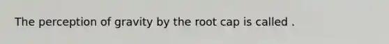 The perception of gravity by the root cap is called .