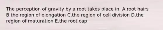 The perception of gravity by a root takes place in. A.root hairs B.the region of elongation C.the region of cell division D.the region of maturation E.the root cap