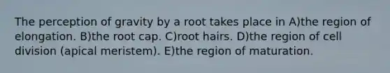 The perception of gravity by a root takes place in A)the region of elongation. B)the root cap. C)root hairs. D)the region of <a href='https://www.questionai.com/knowledge/kjHVAH8Me4-cell-division' class='anchor-knowledge'>cell division</a> (apical meristem). E)the region of maturation.