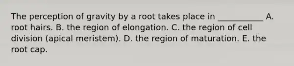 The perception of gravity by a root takes place in ___________ A. root hairs. B. the region of elongation. C. the region of cell division (apical meristem). D. the region of maturation. E. the root cap.