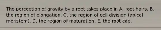 The perception of gravity by a root takes place in A. root hairs. B. the region of elongation. C. the region of <a href='https://www.questionai.com/knowledge/kjHVAH8Me4-cell-division' class='anchor-knowledge'>cell division</a> (apical meristem). D. the region of maturation. E. the root cap.