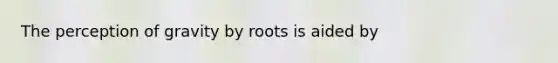 The perception of gravity by roots is aided by