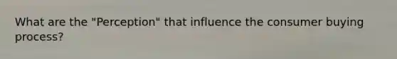 What are the "Perception" that influence the consumer buying process?