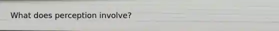 What does perception involve?