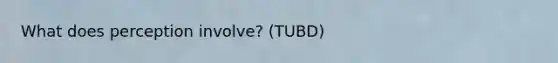 What does perception involve? (TUBD)