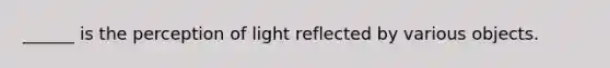 ______ is the perception of light reflected by various objects.