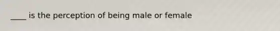 ____ is the perception of being male or female