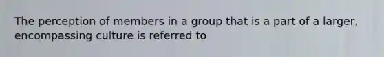 The perception of members in a group that is a part of a larger, encompassing culture is referred to