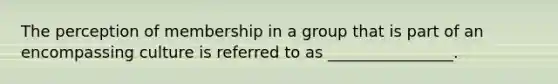 The perception of membership in a group that is part of an encompassing culture is referred to as ________________.