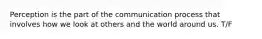 Perception is the part of the communication process that involves how we look at others and the world around us. T/F